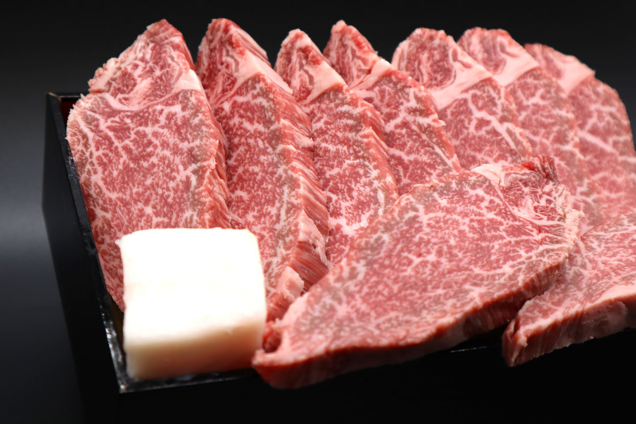 伊賀肉ハンバーグ 10個入