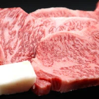 画像1386：伊賀肉ハンバーグ 10個入