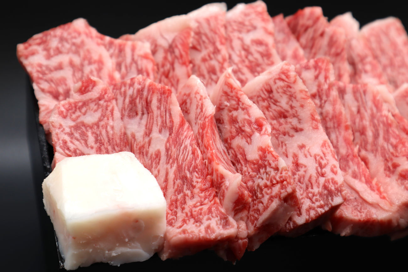 伊賀肉ハンバーグ 10個入