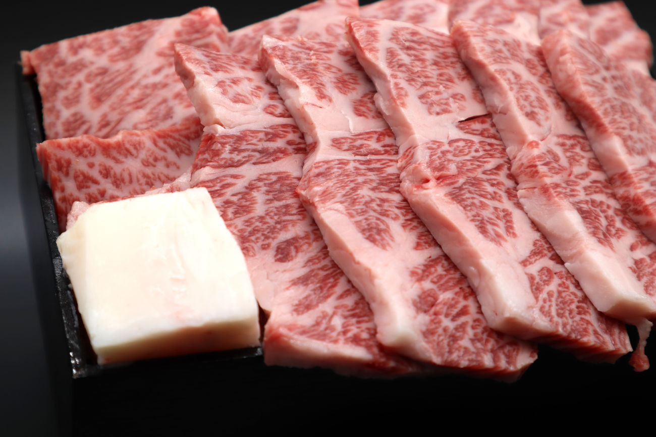 伊賀肉ハンバーグ 10個入