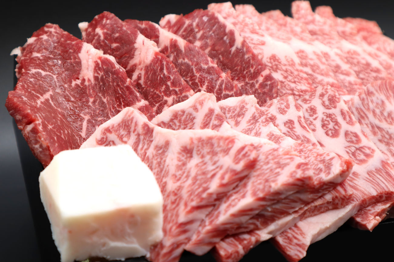 伊賀肉ハンバーグ 10個入