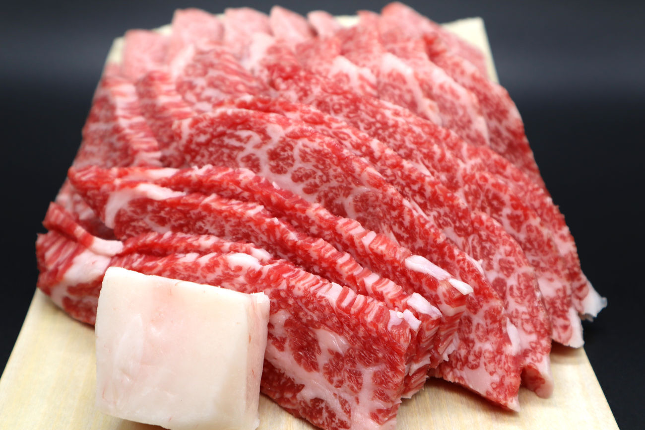 伊賀肉ハンバーグ 10個入
