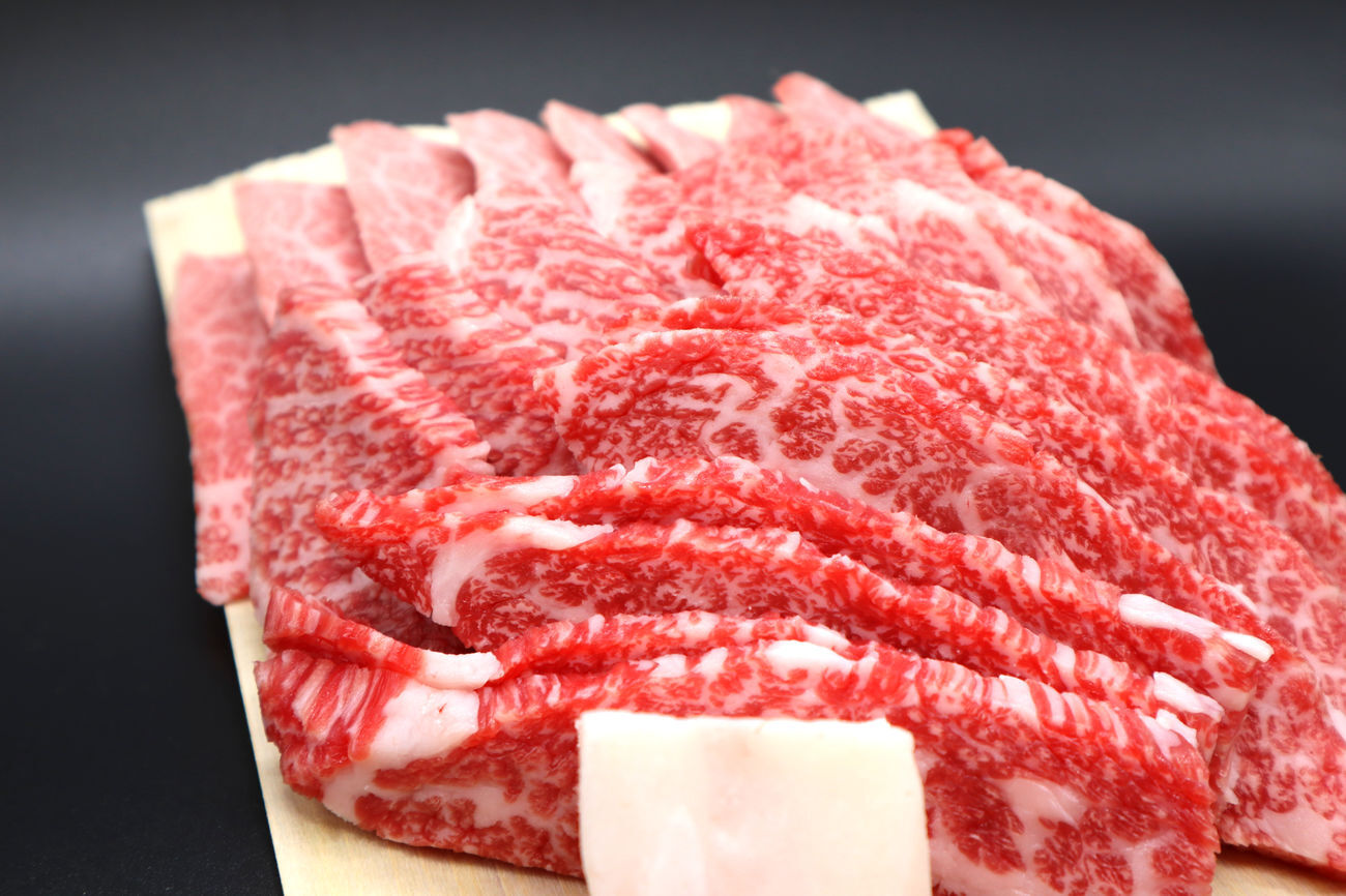 伊賀肉ハンバーグ 10個入